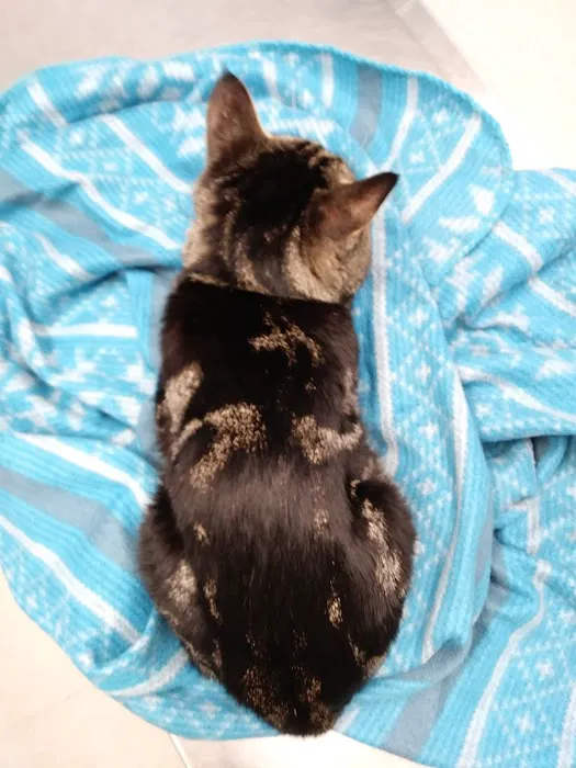 Hawthorne Animal Hospital Picture 3
