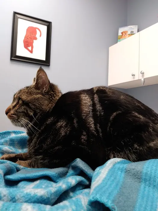 Hawthorne Animal Hospital Picture 4
