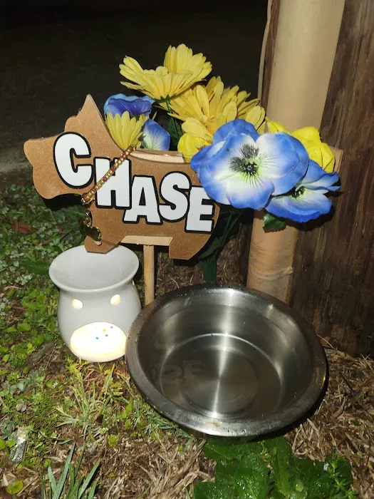 Hawthorne Animal Hospital Picture 7