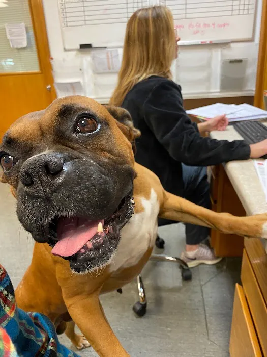 South Athens Animal Clinic Picture 2