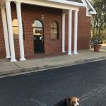 South Athens Animal Clinic