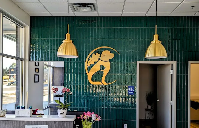 Oak Grove Animal Clinic Picture 5