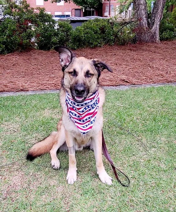 Oak Grove Animal Clinic Picture 7