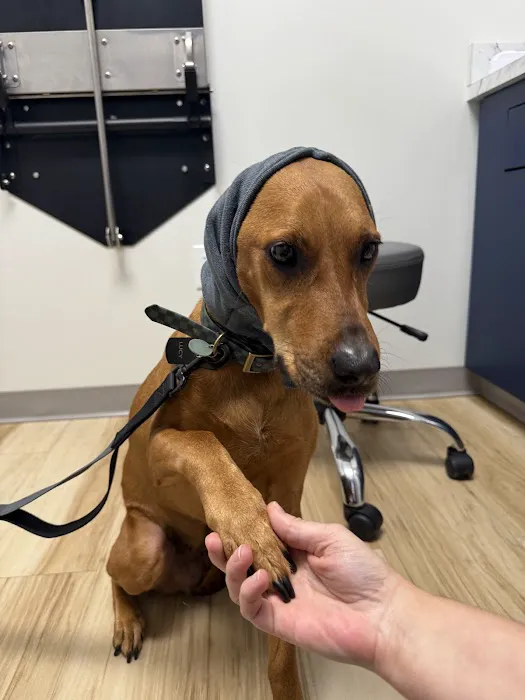 Oak Grove Animal Clinic Picture 6
