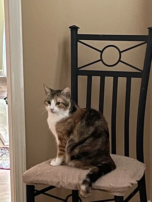 Magnolia Veterinary Hospital Picture 4