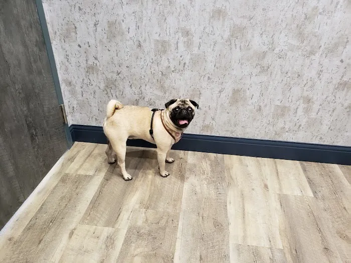 Magnolia Veterinary Hospital Picture 7