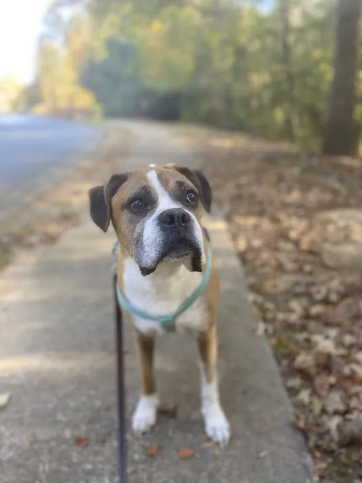 Magnolia Veterinary Hospital Picture 9