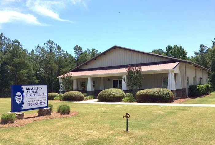 Braselton Animal Hospital Picture 1