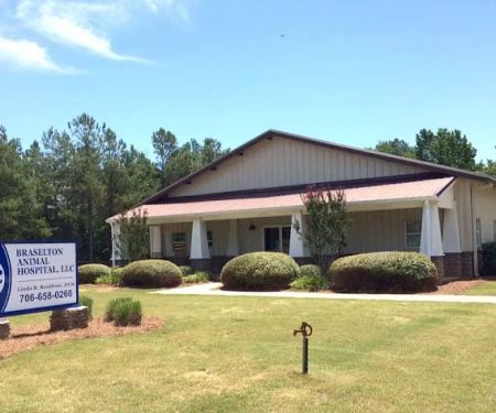 Braselton Animal Hospital