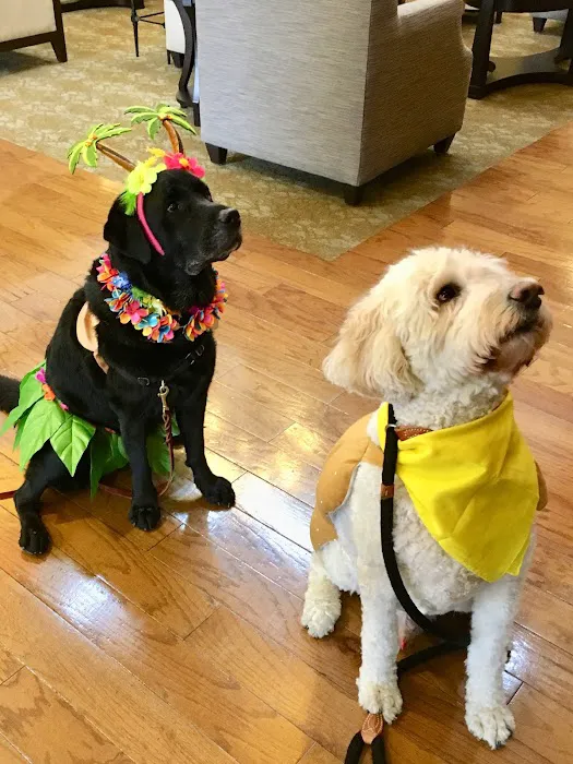 Braselton Animal Hospital Picture 9
