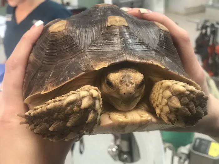 Hoschton Animal Hospital Picture 6