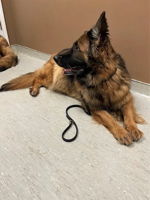 Hoschton Animal Hospital Picture 4