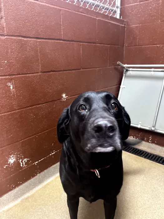 Hoschton Animal Hospital Picture 8