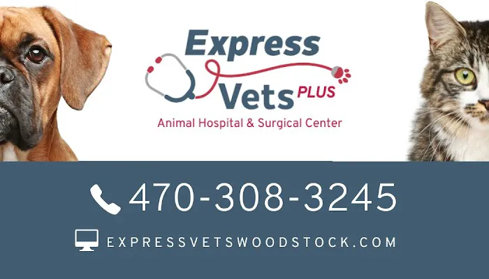 Express Vets Plus Woodstock Picture 3
