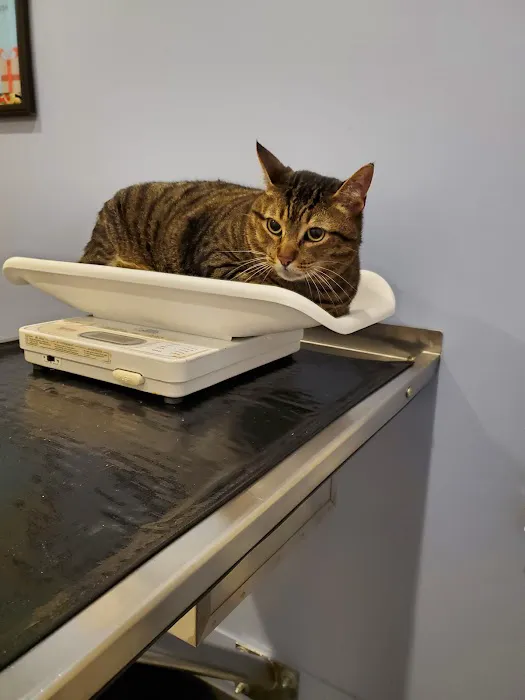 Trickum Ridge Animal Hospital Picture 2