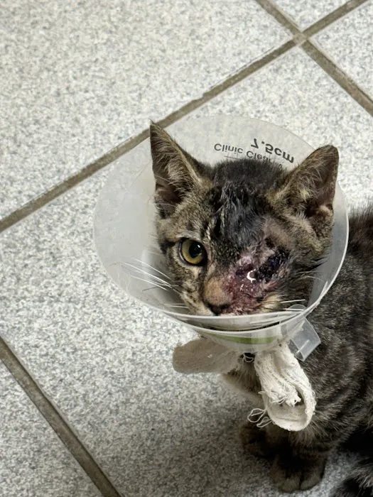Trickum Ridge Animal Hospital Picture 5