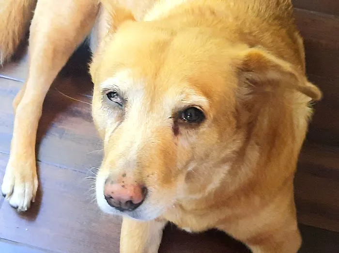 Trickum Ridge Animal Hospital Picture 8