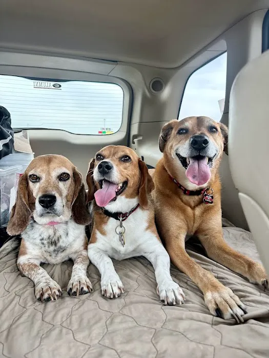 Trickum Ridge Animal Hospital Picture 6