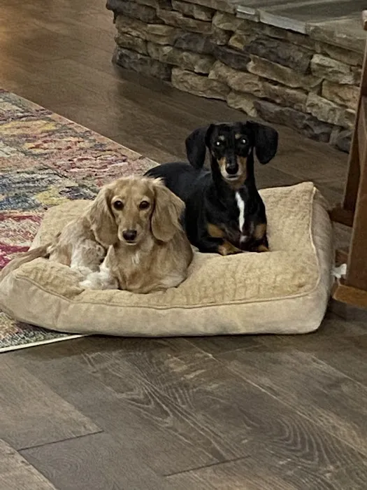 Crossroads Veterinary Hospital Picture 3