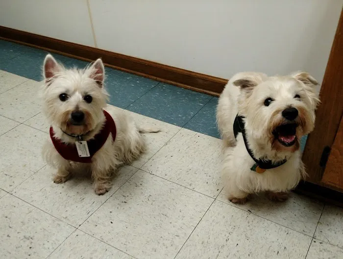 Woodstock Veterinary Hospital Picture 1