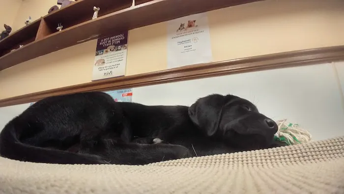 Woodstock Veterinary Hospital Picture 6