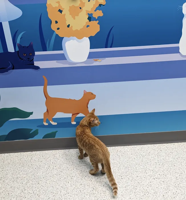 Community Cat Clinic Picture 10