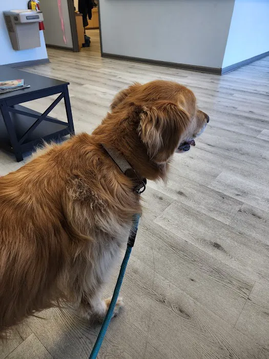 Family Pet Hospital Picture 4