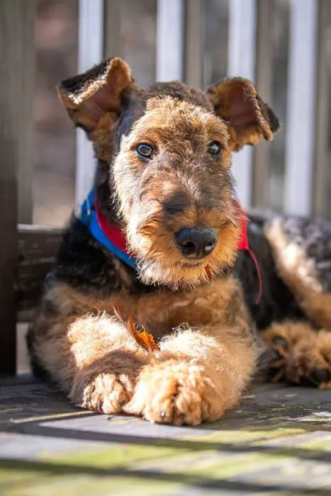 Family Pet Hospital Picture 6