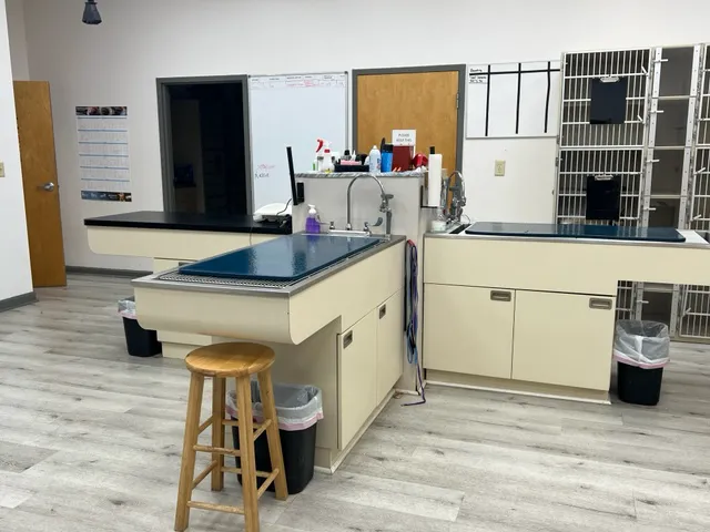 Family Pet Hospital Picture 10