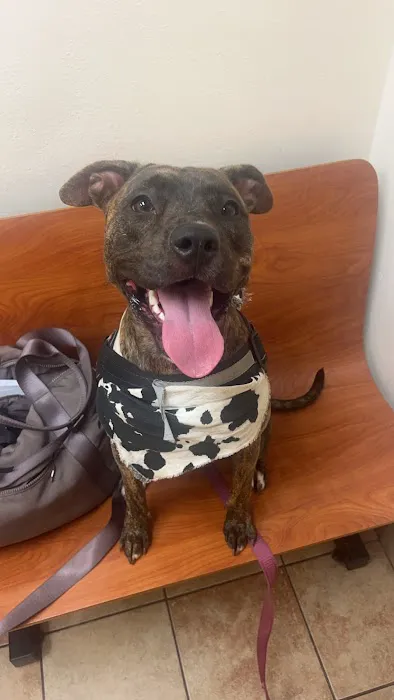 Banfield Pet Hospital Picture 4