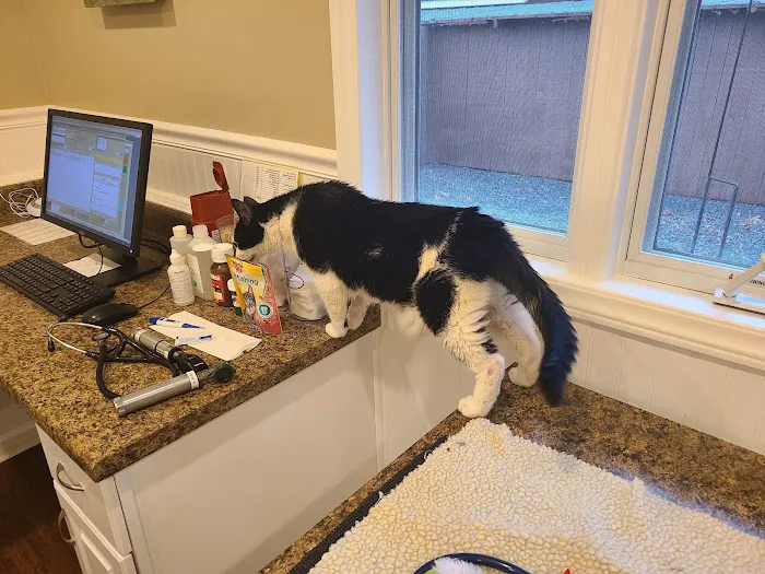 Etowah Veterinary Hospital Picture 1