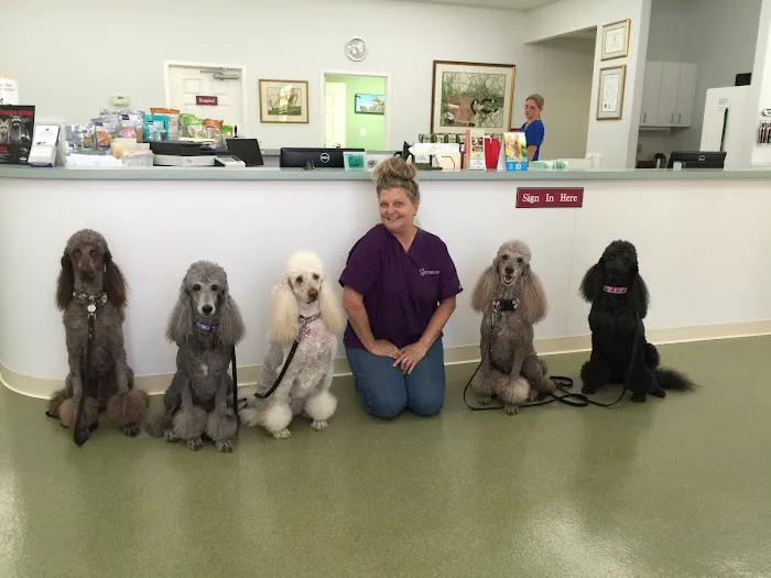 Bells Ferry Veterinary Hospital Picture 5