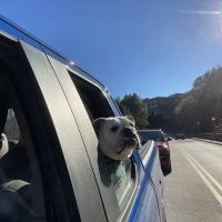Highway 92 Animal Hospital ico