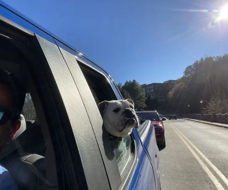 Highway 92 Animal Hospital