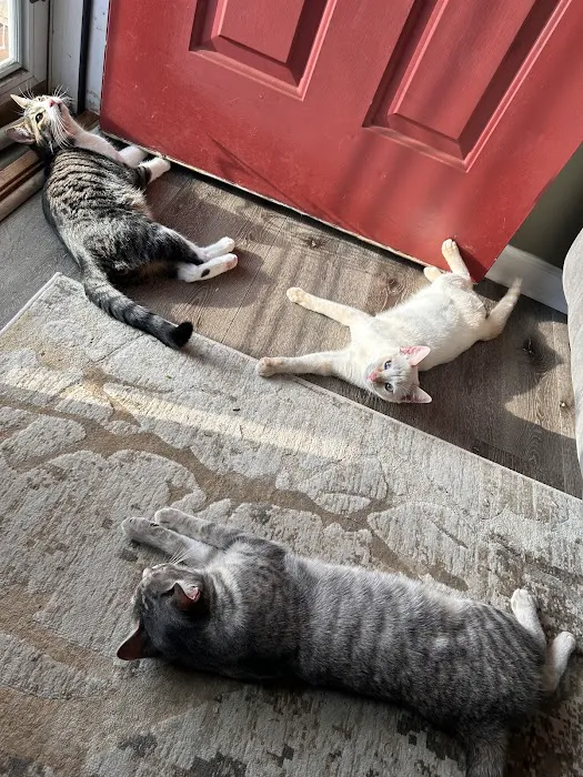 Highway 92 Animal Hospital Picture 9