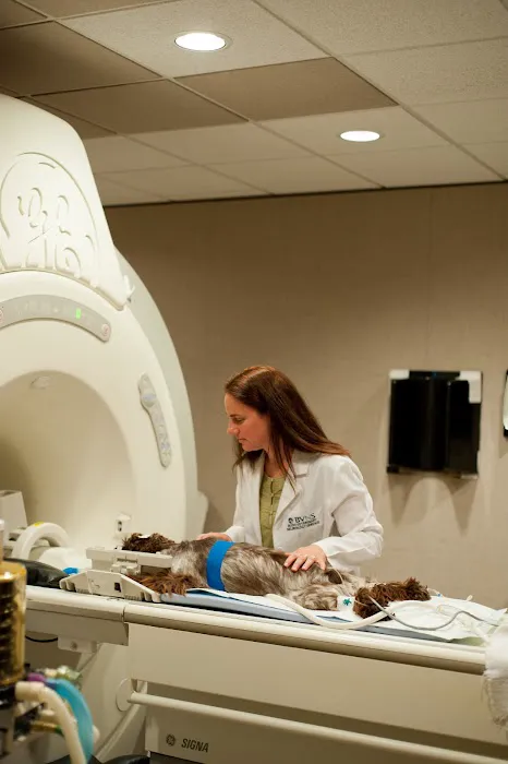 Bush Veterinary Neurology Service (BVNS) - Woodstock Picture 7