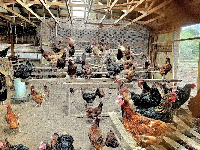 Orr Animal Hospital Inc Picture 7