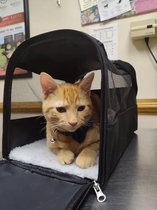 Orr Animal Hospital Inc Picture 9