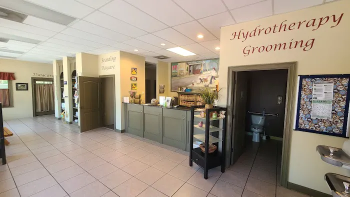 Just Pets Veterinary Hospital Picture 10
