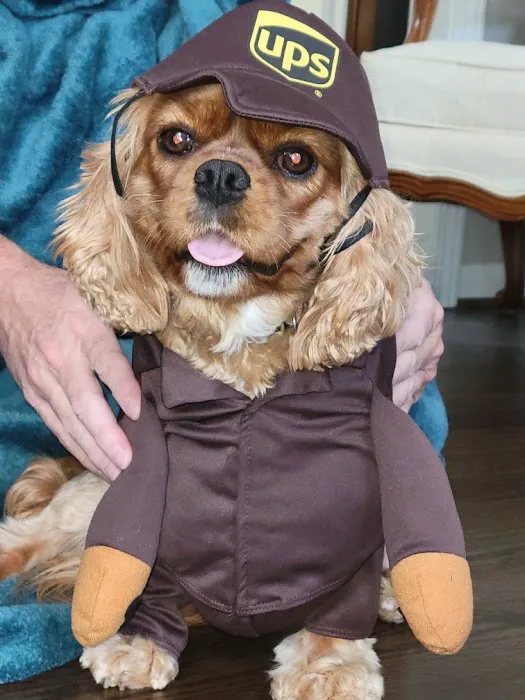 South Forsyth Animal Hospital Picture 2