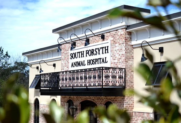 South Forsyth Animal Hospital Picture 6
