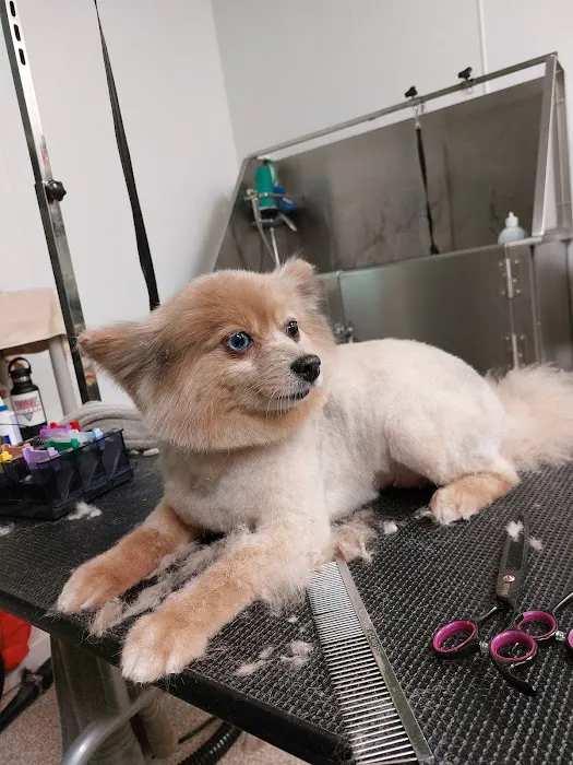 Creekside Animal Hospital Picture 2