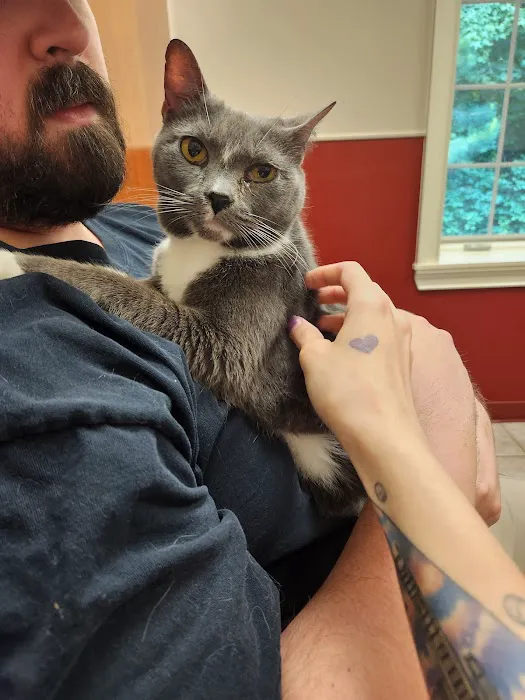Creekside Animal Hospital Picture 3