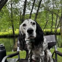 Cumming Pet Urgent Care ico