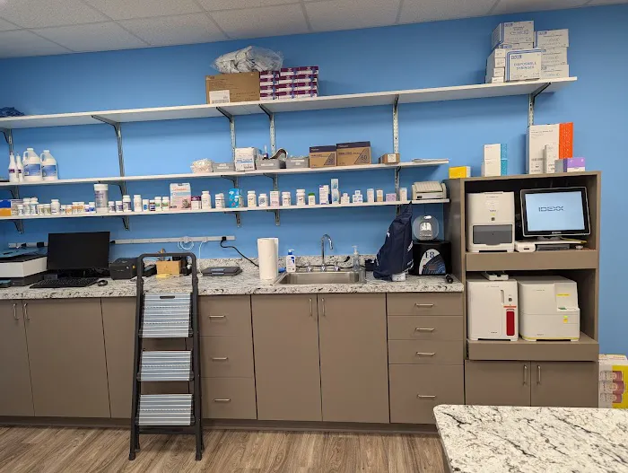 Cumming Pet Urgent Care Picture 3
