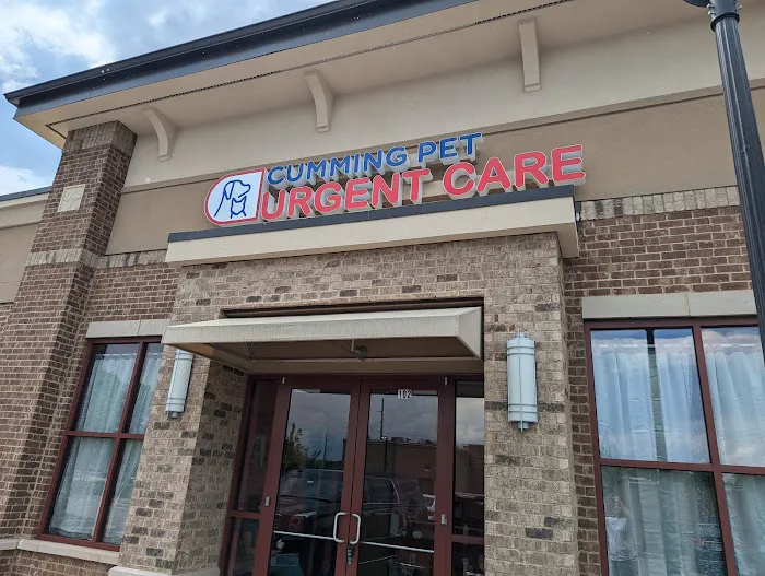 Cumming Pet Urgent Care Picture 7