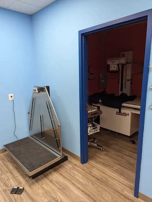 Cumming Pet Urgent Care Picture 10