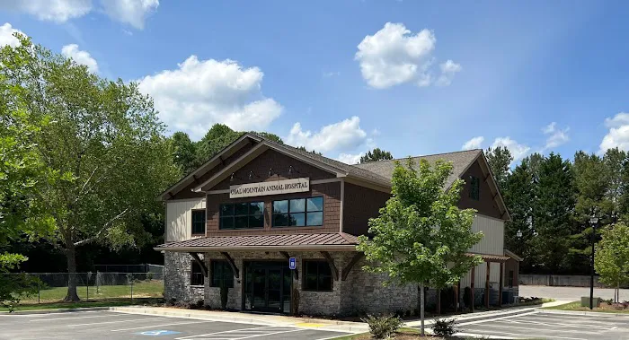 Coal Mountain Animal Hospital Picture 7