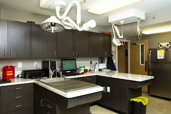 North Main Animal Hospital Picture 2
