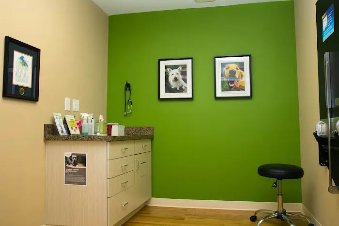 North Main Animal Hospital Picture 7